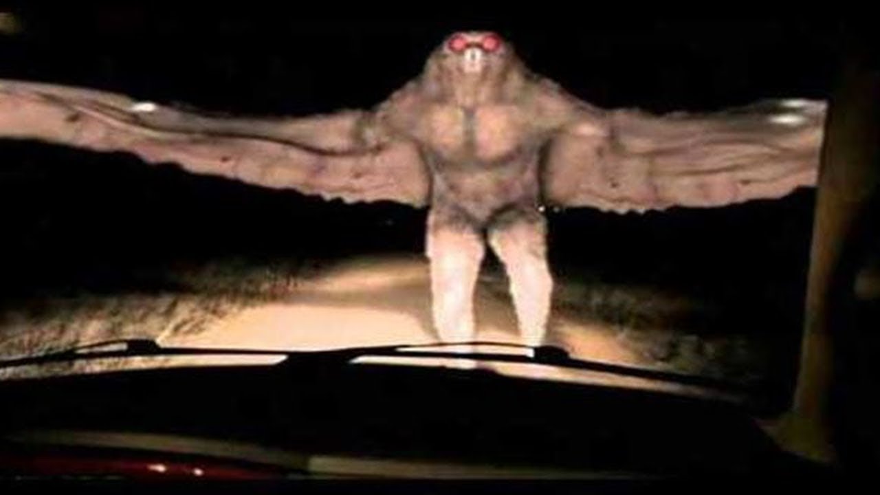 The Moth Story...
