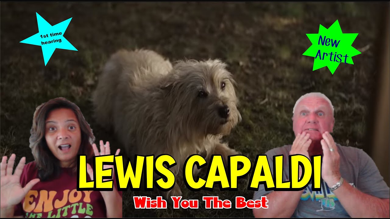 Music Reaction | First time Reaction Lewis Capaldi - Wish You The Best