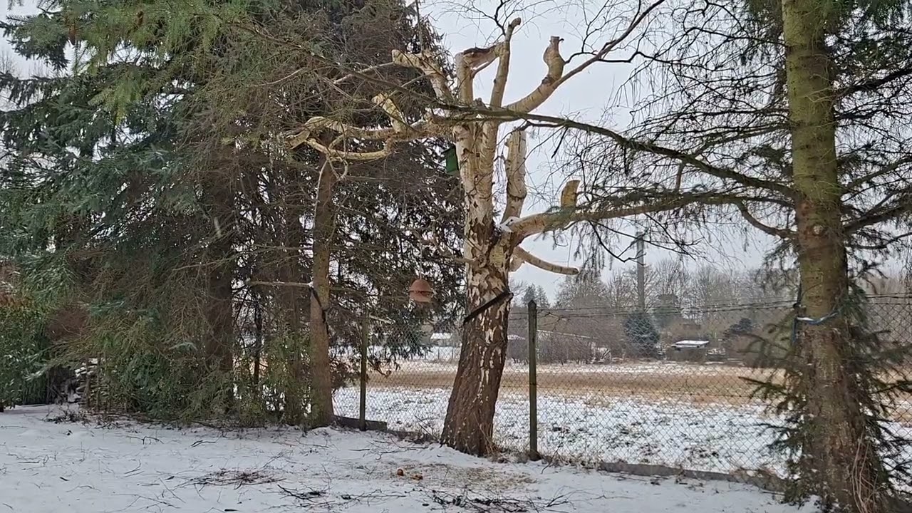 Natur - Gedanken  & Verbundenheit 