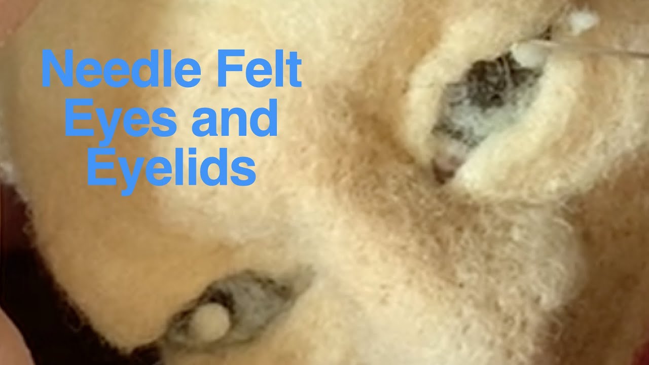 Needlefelt eyes and eyelids