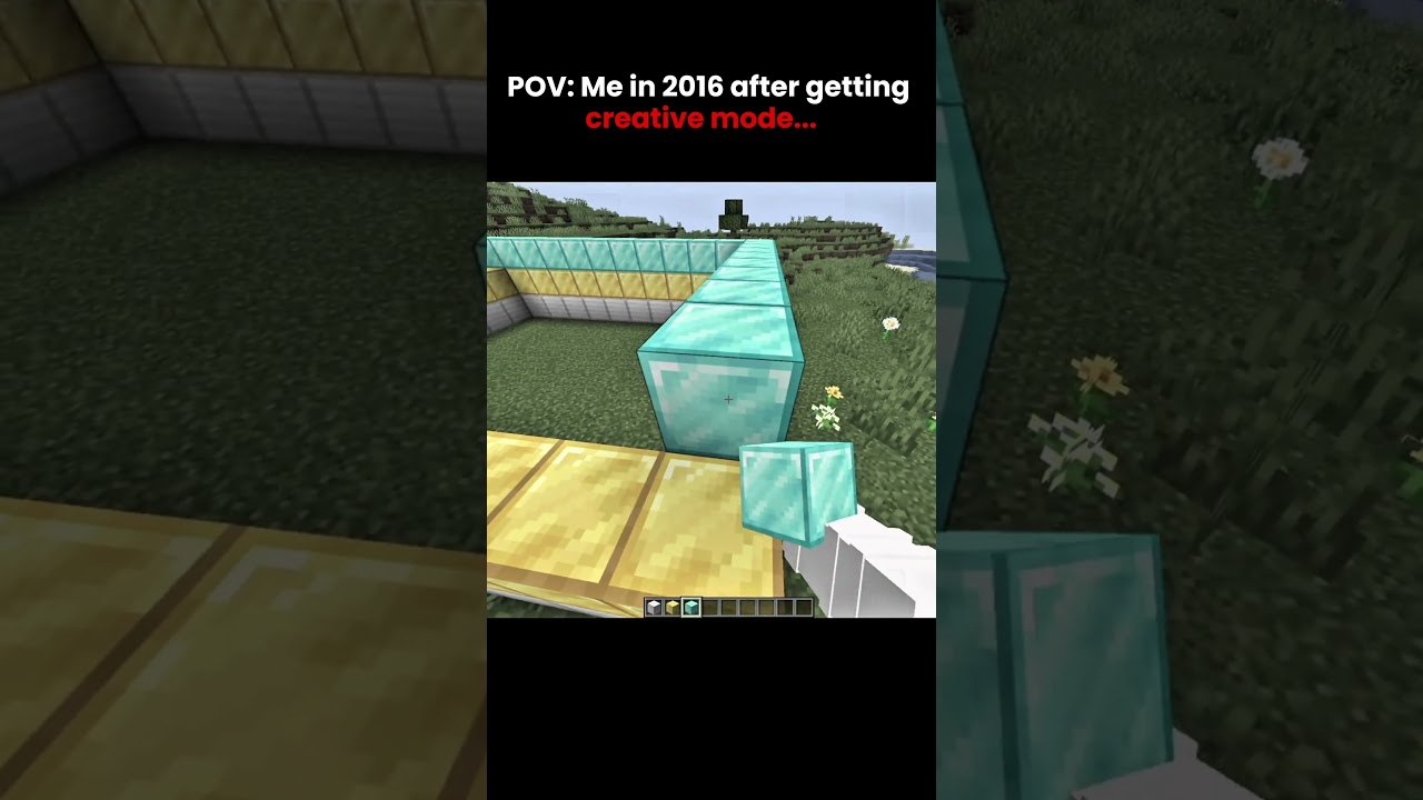 Me in 2016 after getting creative mode #minecraft  #nobatidao #usa