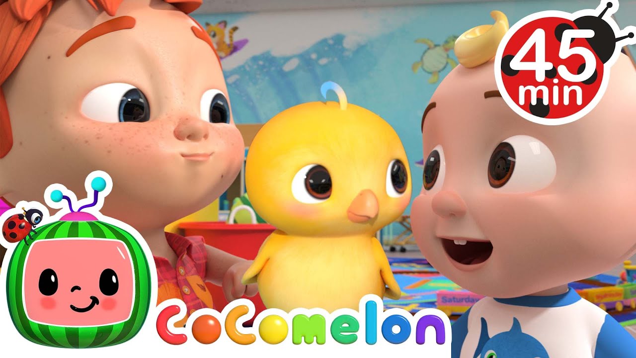 Numbers Song with Little Chicks | CoComelon Animal Time - Learning with Animals | Nursery Rhymes