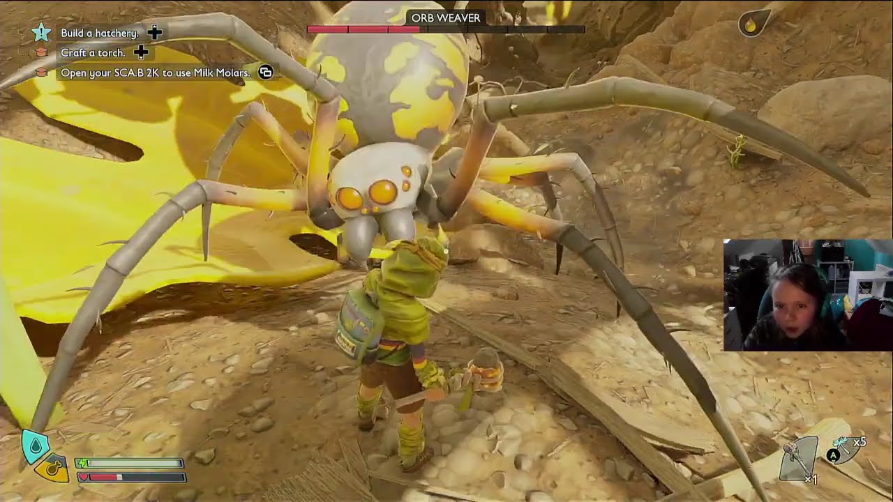 I finally got a BUGGY!