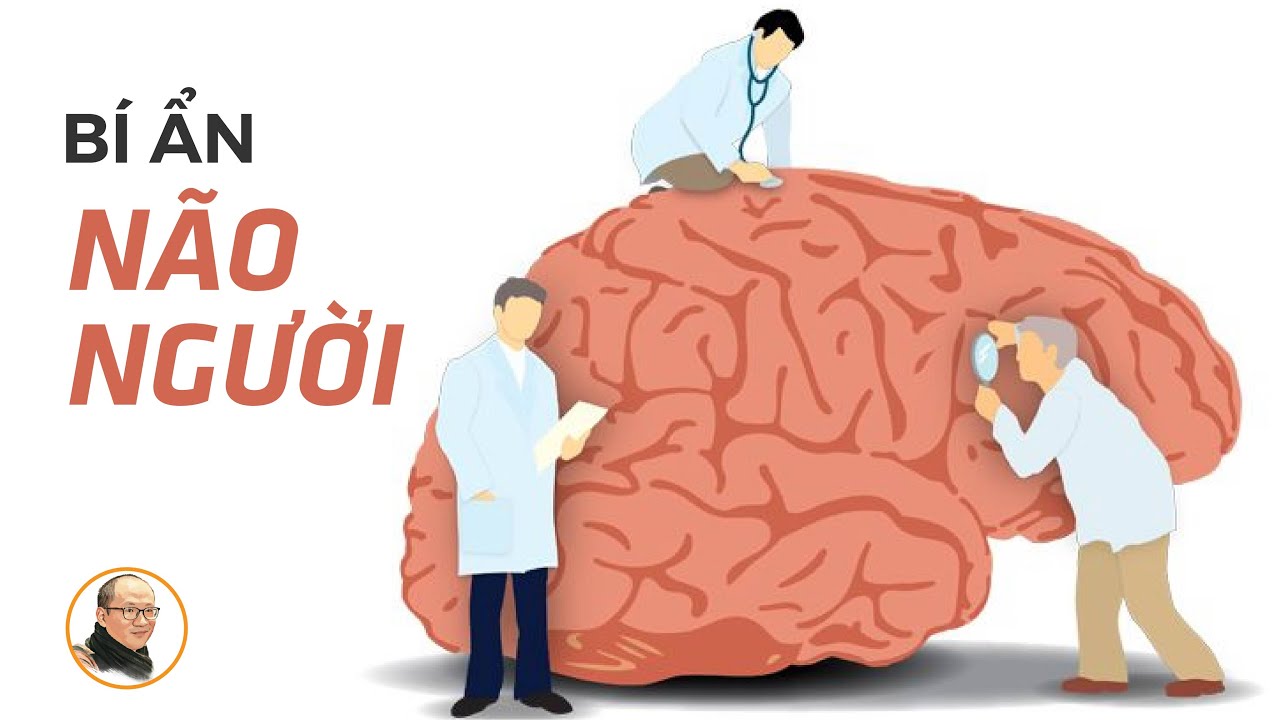 Bí ẩn não người | Nhà báo Phan Đăng