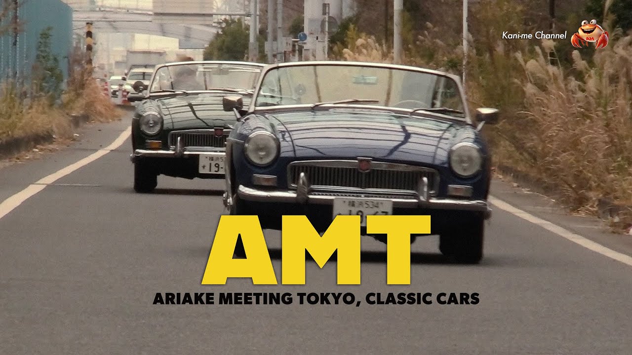 AMT 