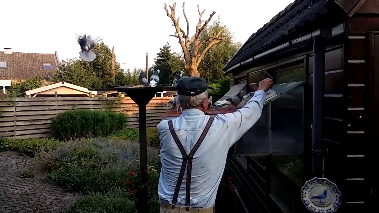 Vliegtipplers binnenhalen met lokkers op de spoetnik