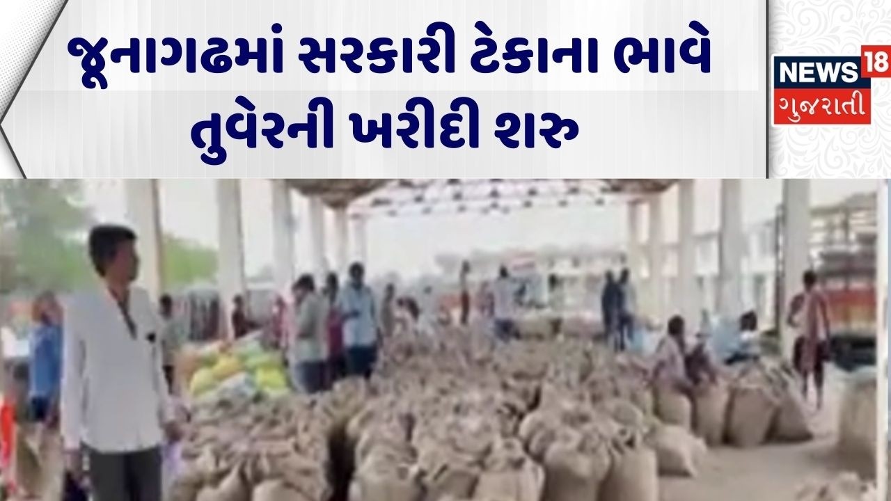Junagadh News | જૂનાગઢમાં સરકારી ટેકાના ભાવે તુવેરની ખરીદી શરુ | Agriculture News | Gujarati News