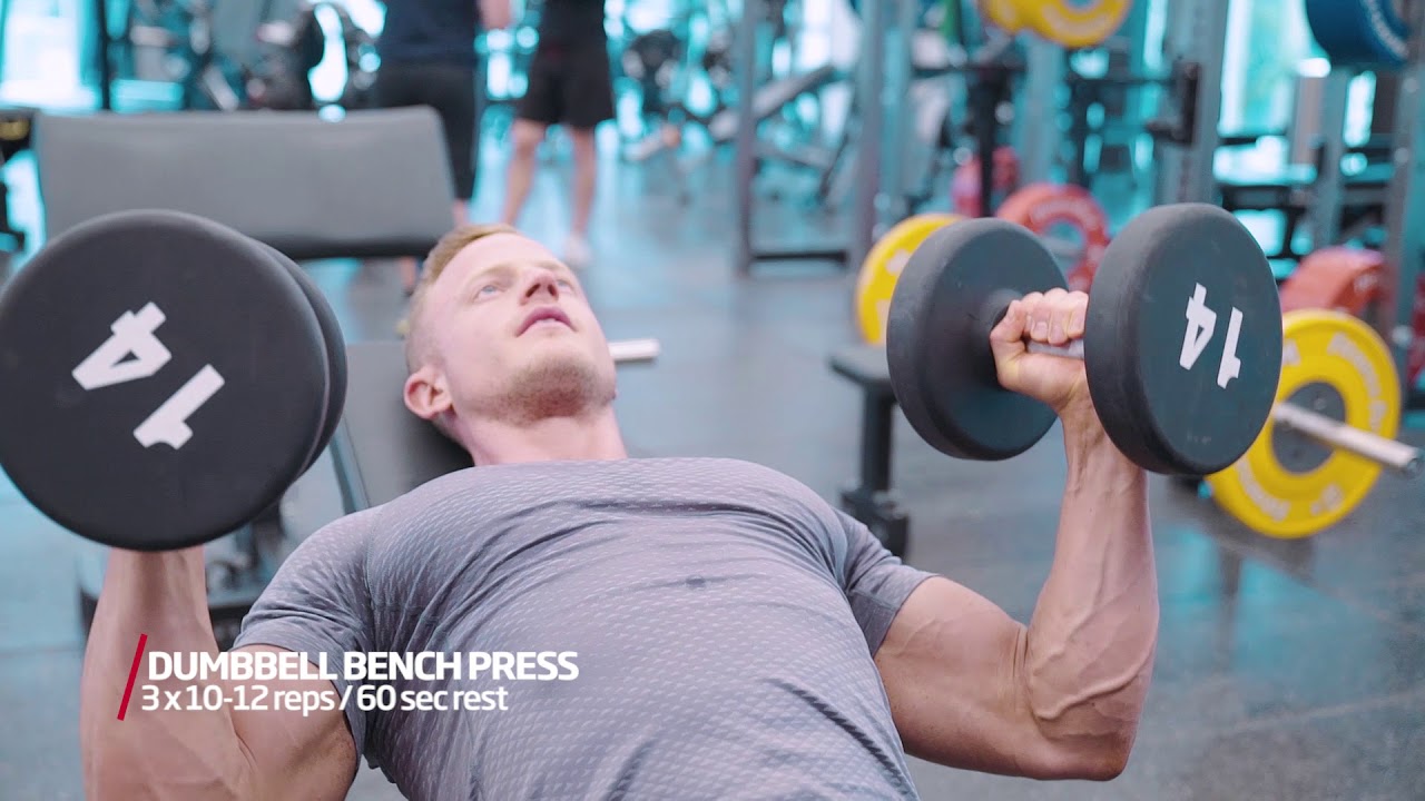 Bodybuilding program: Beginner | Fitness First Australia