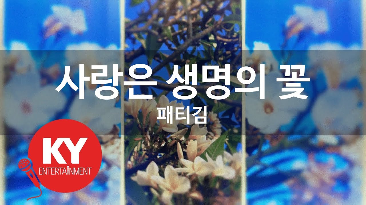 [KY ENTERTAINMENT] 사랑은 생명의 꽃 - 패티김 (KY.447) / KY Karaoke