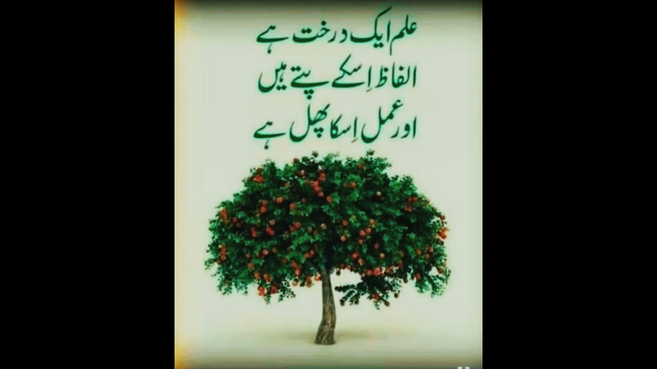 ll متہ  ماشوق  لیلا  ہاو  دیدار ll❤️KASHMIRI SUFI SONG❤️KALAM❤️❣️GHULAM-E-KHALIL❣️❤️#sufikalam