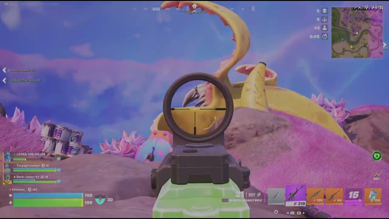 Fortnite 12 kill with the boys 