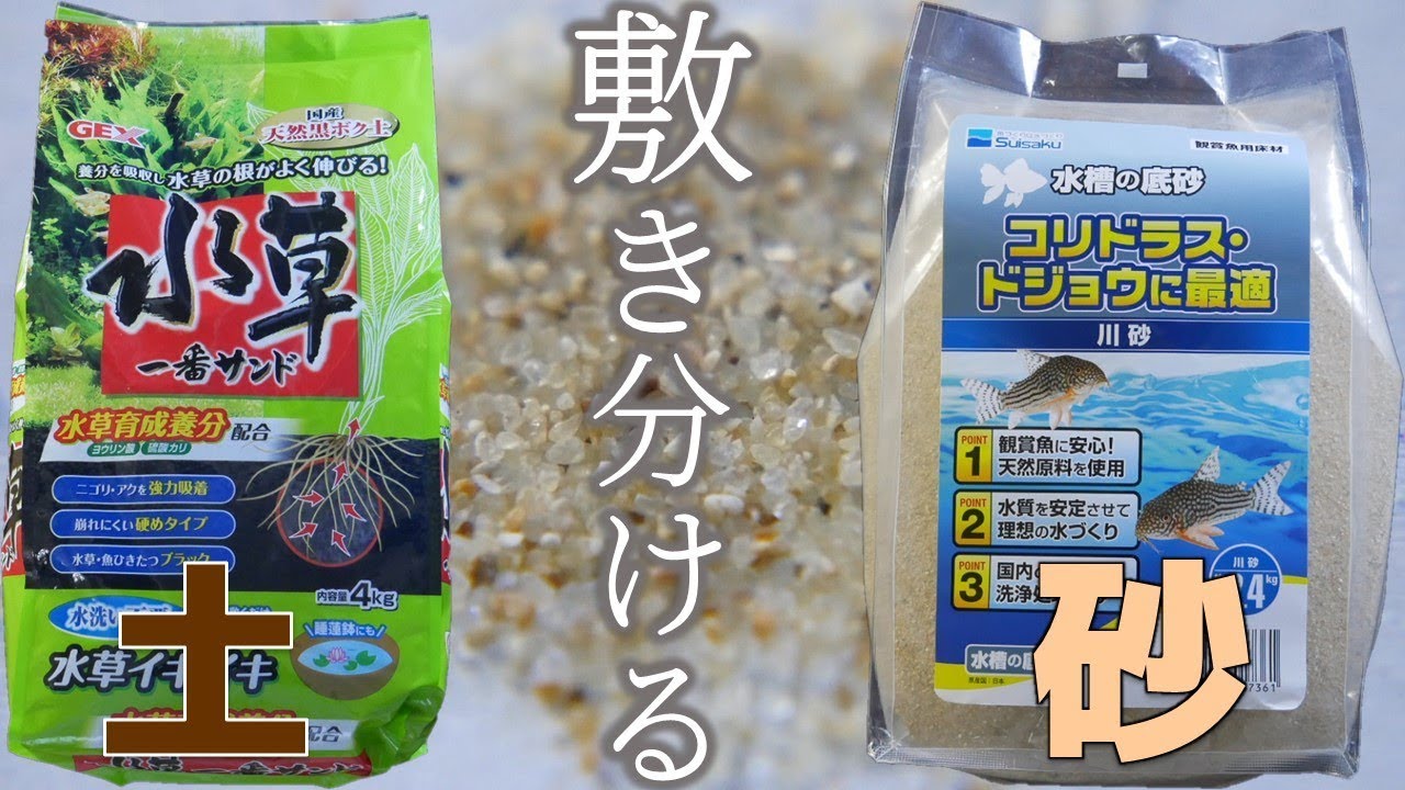 【ソイルと砂】GEX「水草1番サンド」と水作「水槽の底砂」を敷き分けるぜ！【ふぶきテトラ】