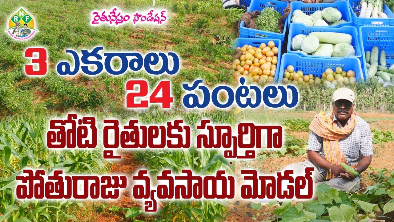 ప్రకృతి వ్యవసాయంలో విజయవంతంగా సాగుతోన్న నున్న రైతు |రాజ్ కుమార్| Rythunestham | Farmer Success Story