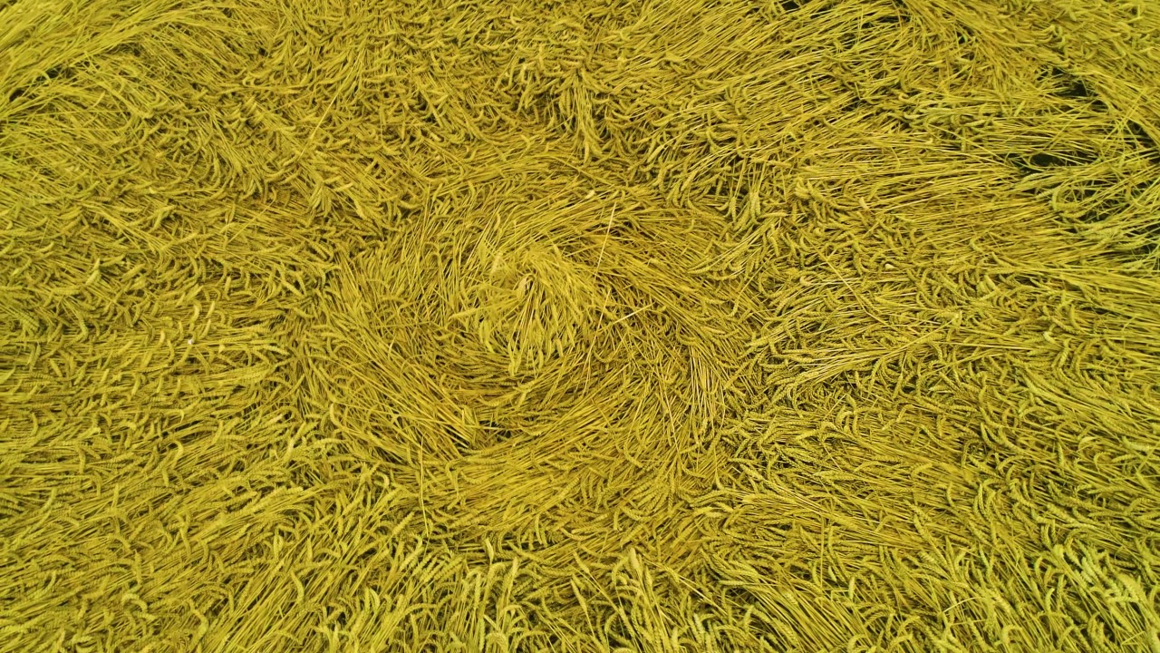Wooten Wawen CROP CIRCLE 8.8.2017 2.7k60p