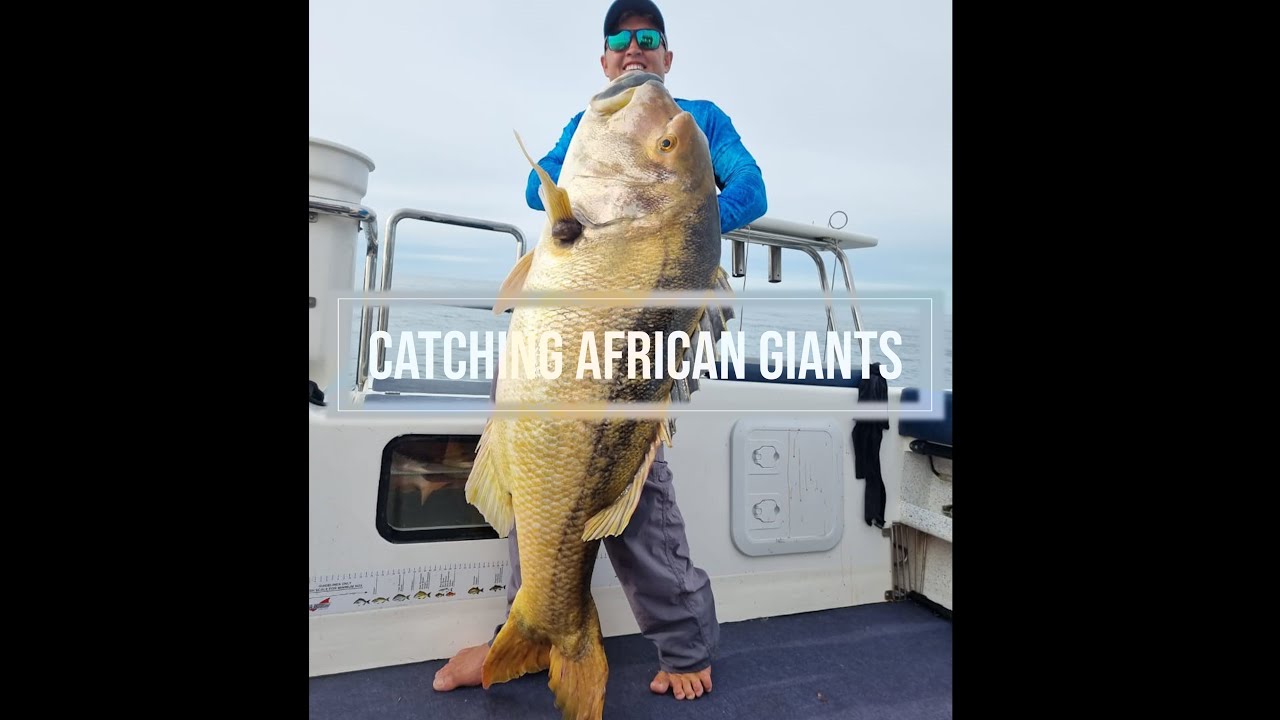Big Fish South Africa