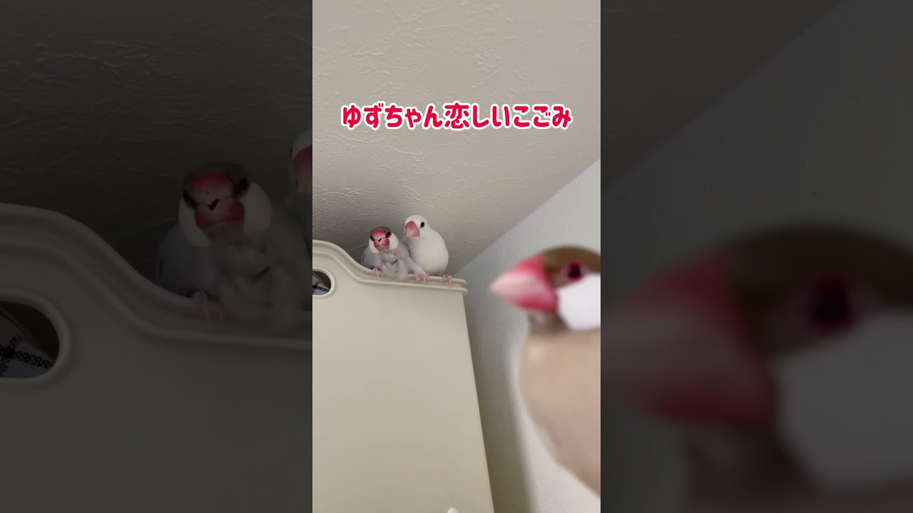 三角関係