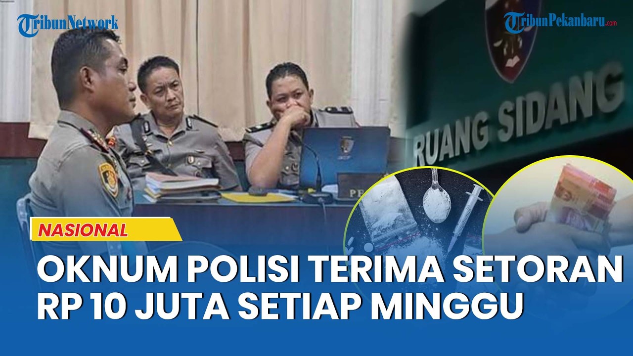 Bikin Malu! Bandar Narkoba Setor Rp 10 Juta ke Oknum Polisi Toraja Utara