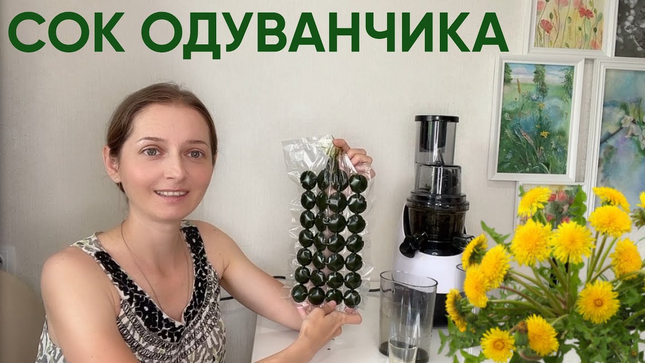 Отжимаю и заготавливаю сок одуванчика (шнековая соковыжималка RAWMID Greenery)
