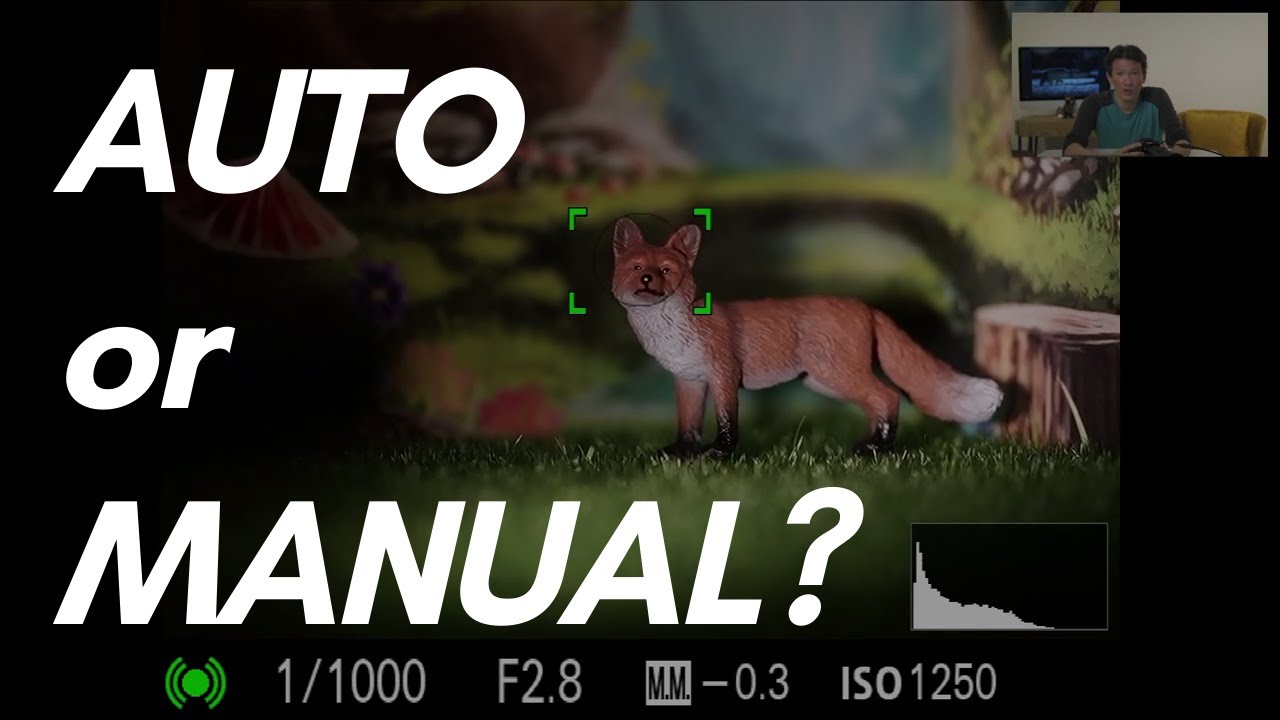 How I (don't) use the auto features in Sony (or any other) cameras for wildlife photography