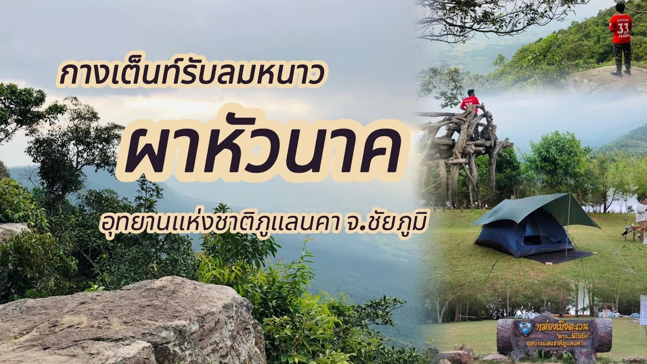 กางเต็นท์รับลมหนาวที่ผาหัวนาค เย็นถึงใจ | อช.ภูแลนคา | แคมป์ตามนัท