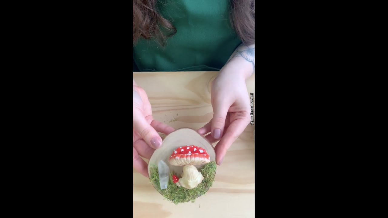BISCUIT - Cogumelo “Amanita muscaria” | Mariana Ubertini