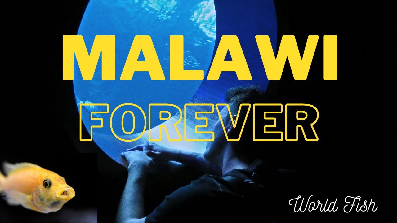 Malawi Forever