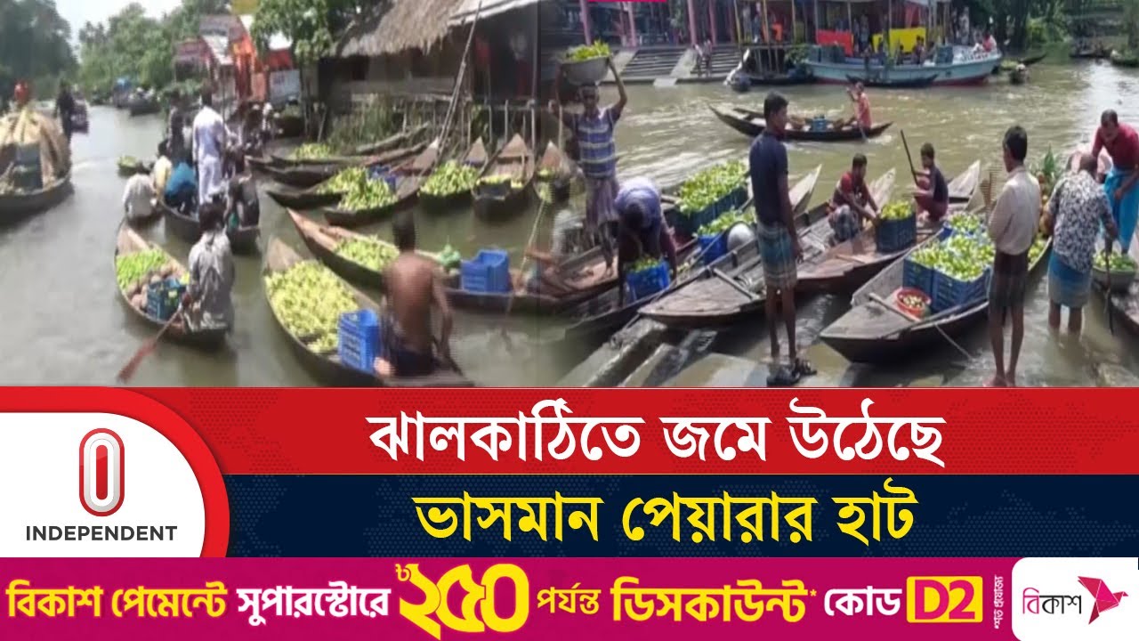 ভিমরুলিতে ডিঙি নৌকায় পেয়ারার পসরা | Floating Guava Market | Independent TV