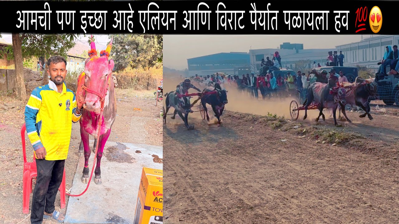 एलियन १००१ आणि विराट ०००३ पैर्यात पळायला हव आमची पण इच्छा आहे 💯
