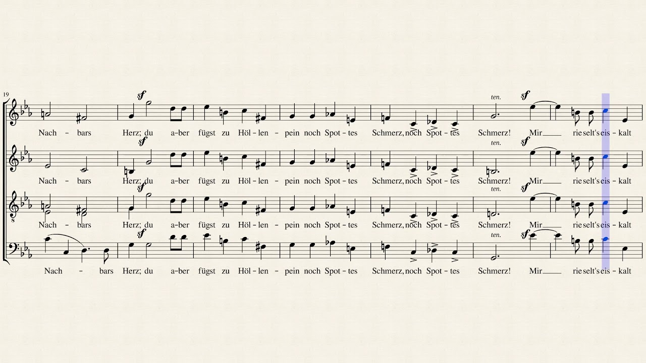Zahnweh - SATB Schumann
