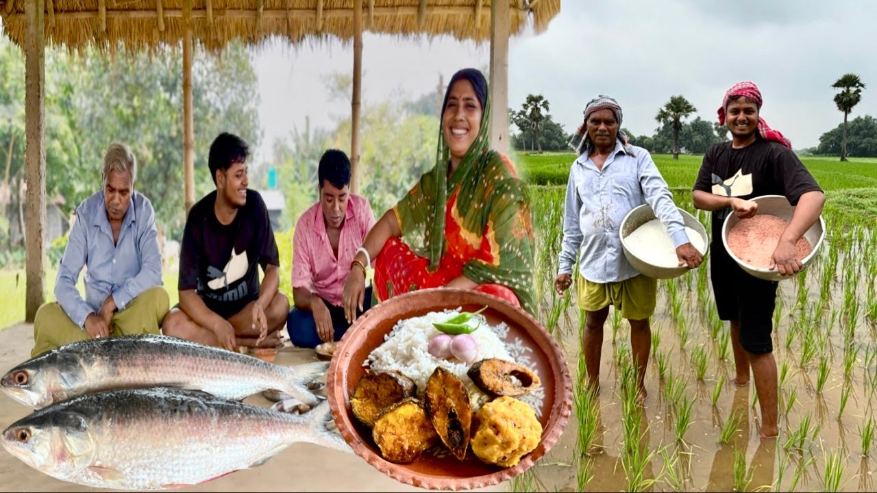 বর্ষার ধানের ক্ষেতে সার ছড়িয়ে মজার ইলিশ-পান্তা খাওয়া। Ilish panta eating