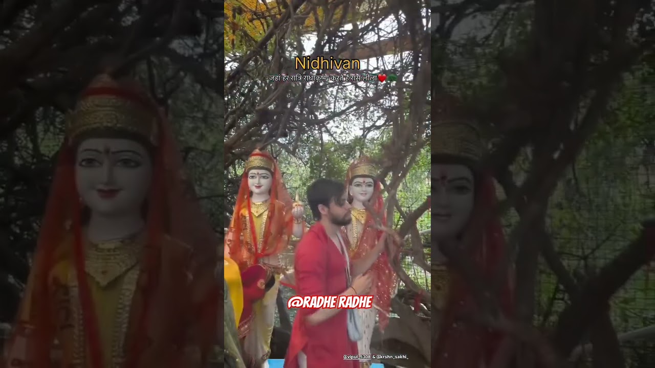 nidhivan me radhe krishna 