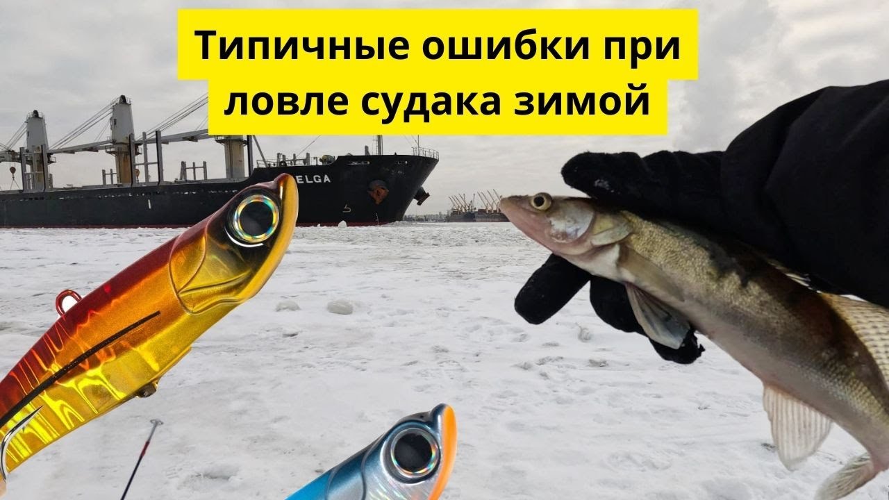 Главные ошибки рыболовов при ловле судака зимой