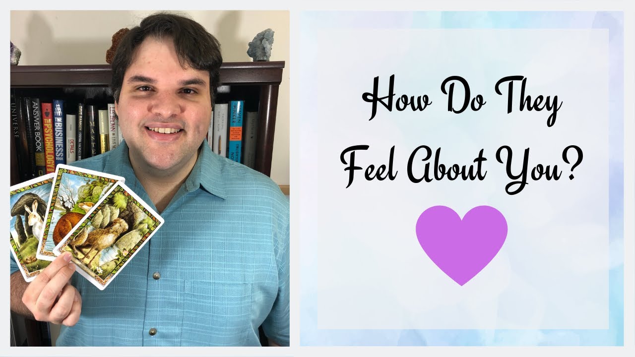 Pick a Card 💖 How Do They Feel About You? -Timeless Tarot Reading