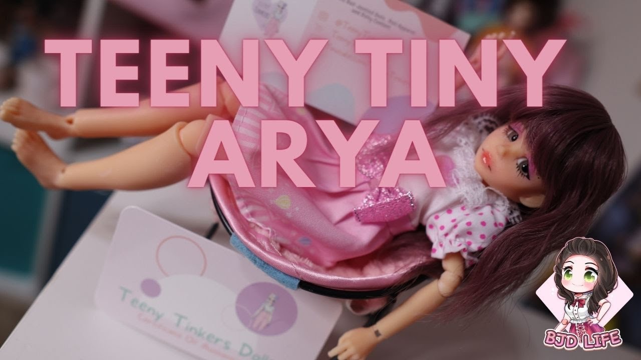 Teeny Tiny Arya (Teeny Tinkers) Kit Review and Build!