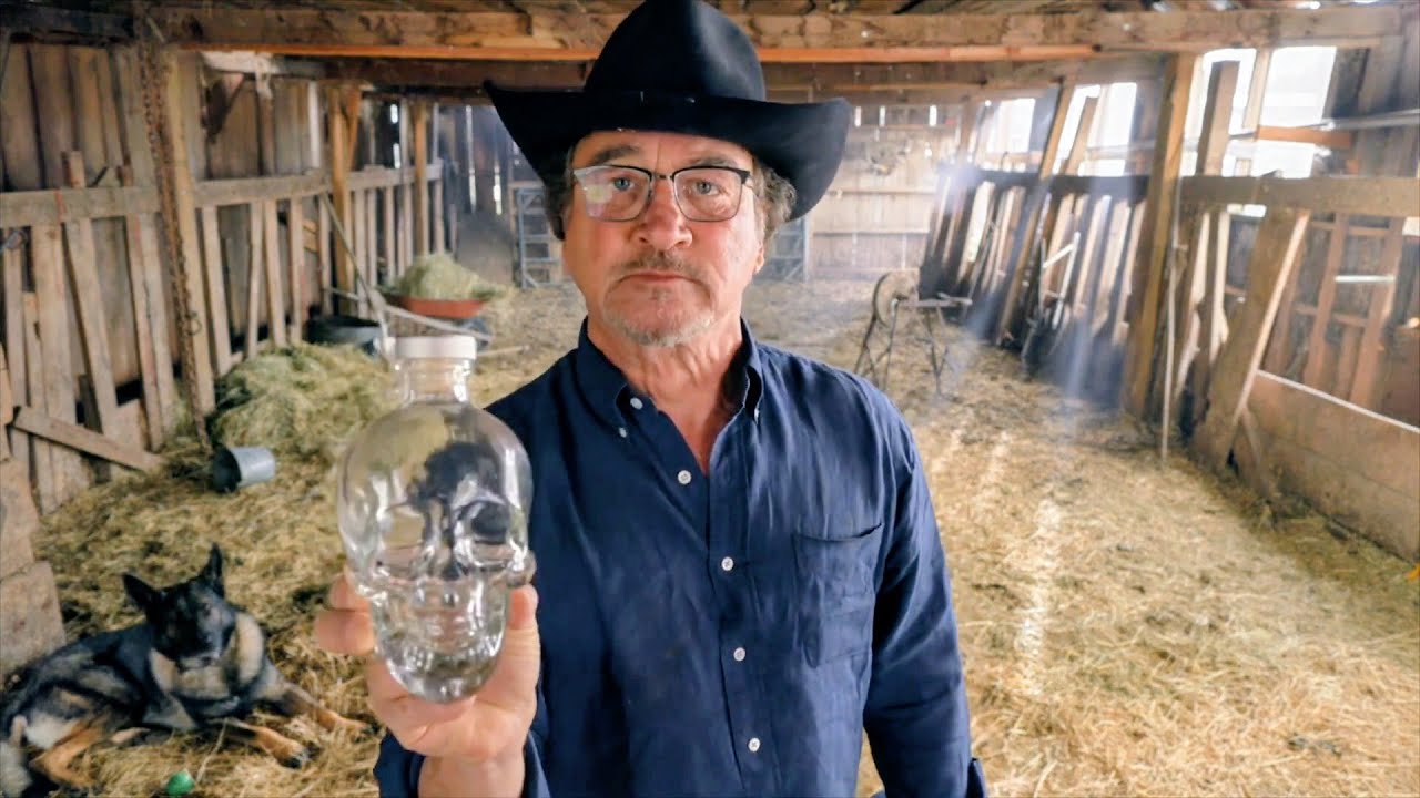 From The Blues Brothers to the Back Forty Jim Belushi in Growing Belushi 