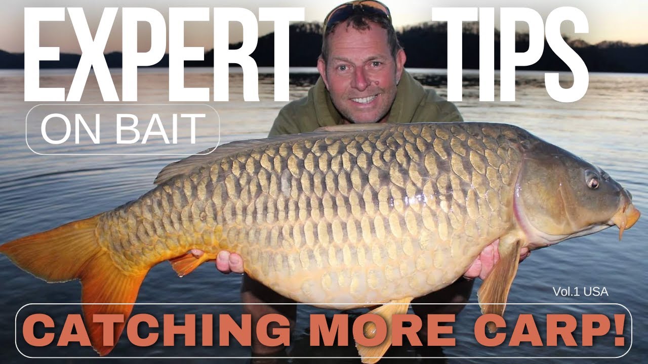 Expert Tips for Catching More Carp!
