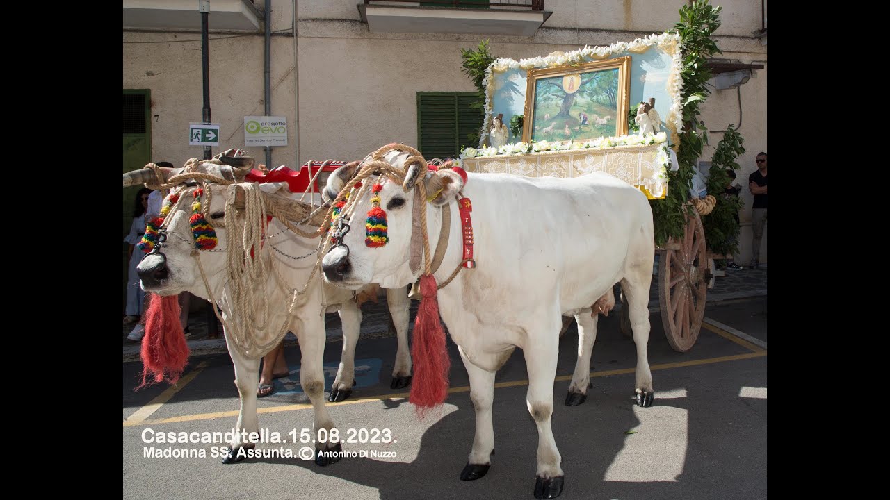 CASACANDITELLA. 15.08.2023. MADONNA SS. ASSUNTA - CARRI VOTIVI. By. A. Di Nuzzo.