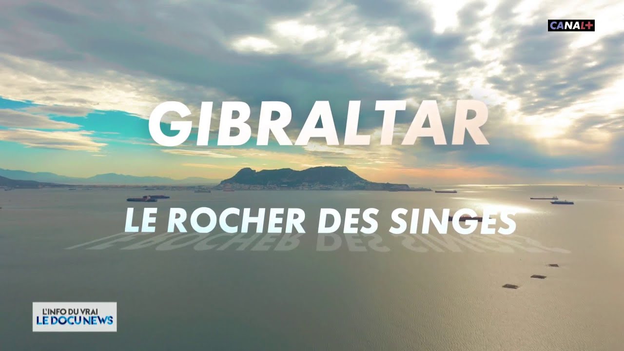 Gibraltar le rocher des singes - Docunews