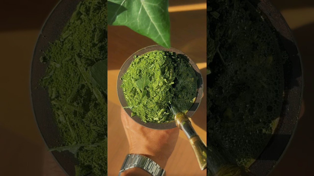 Erva-Mate Mo&iacute;da Grossa Bras&atilde;o Verde 🌿🧉 #chimarr&atilde;o #ervamate #mate #mates #mateamargo #chima