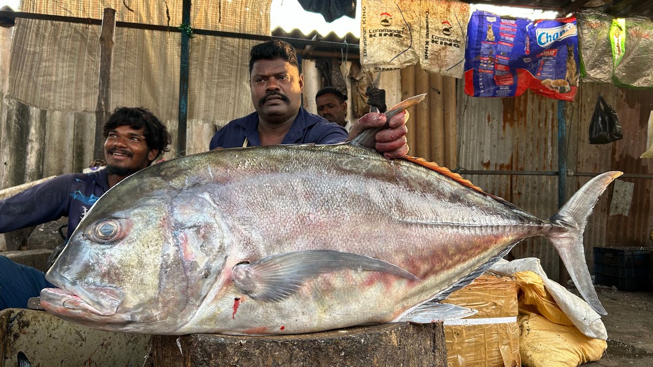 KASIMEDU 🔥SPEED SELVAM | BIG PARRAI🍣 FISH 🐟 MASS CUTTING SKILLS | N M FISH CUTTING 🔪