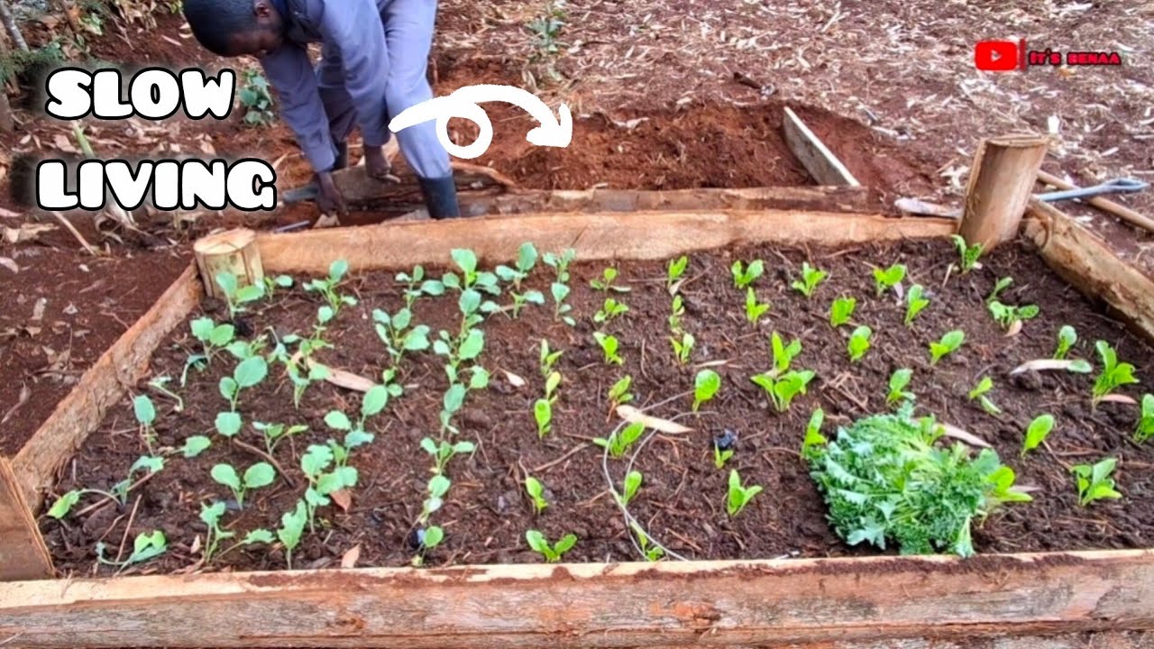 Building a Raised Garden After the Rain 🌧🌱 | Slow Village Life