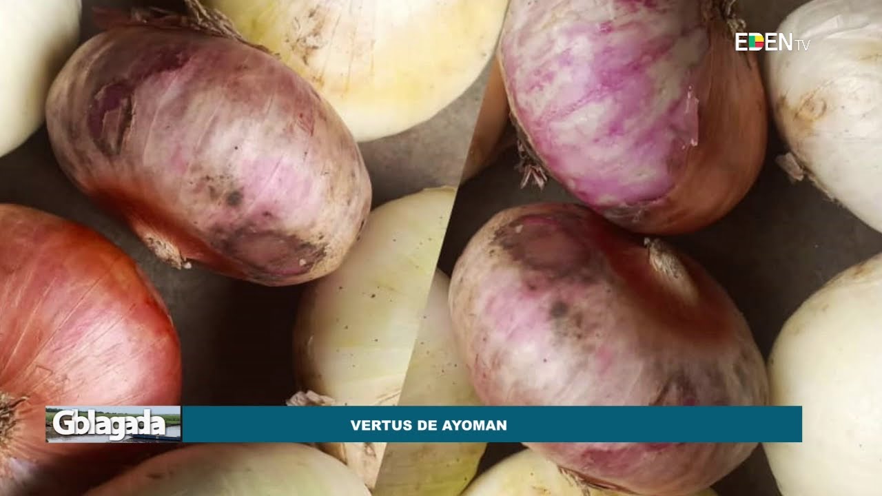 Les vertus de AYOMAN | Nuyendévo