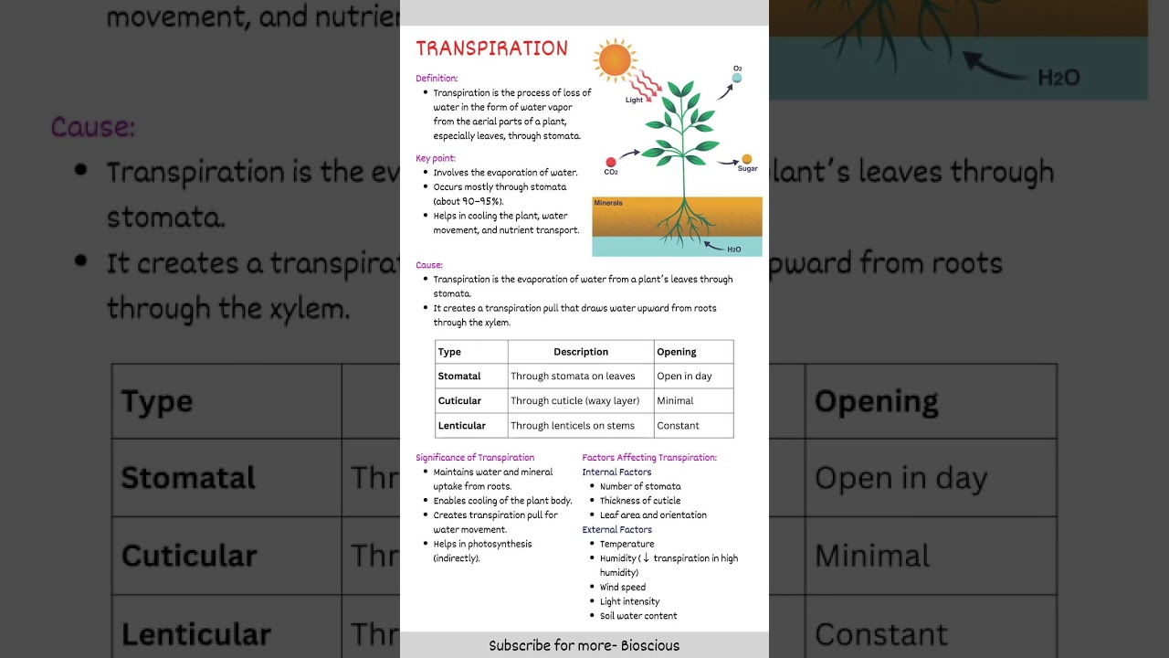 Transpiration in plants #transpiration #plantphysiology #botany #biology #bscbotany #water #notes