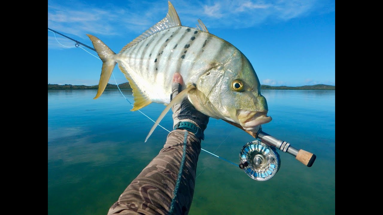 Pêche à la mouche en Nouvelle-Calédonie, kayak, carangue jaune, bec de cane