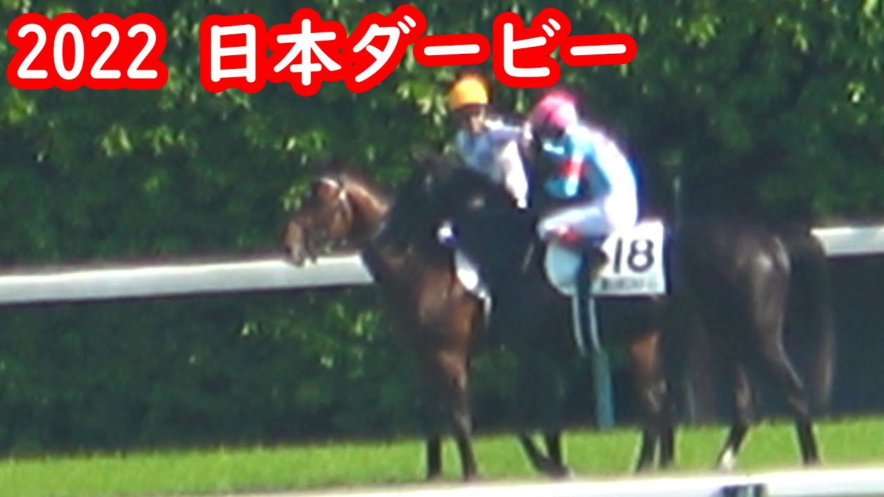 【日本ダービー】ドウデュース 武豊も涙ぐむ⁉ 競馬場に響くユタカコール ウィニングラン 現地映像