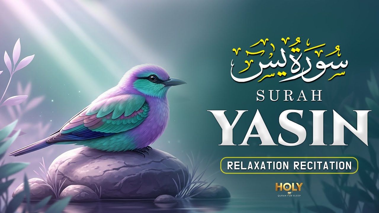 Surah Yasin(سورة يس)Beautiful Recitation Touching Souls With Every Verse