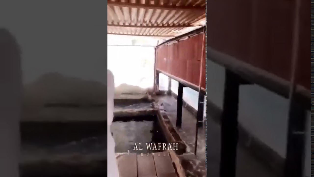 تبريد المحميات الزراعية بالطابوق الاحمر الفخاري - محمية المزارع بسام الدماك