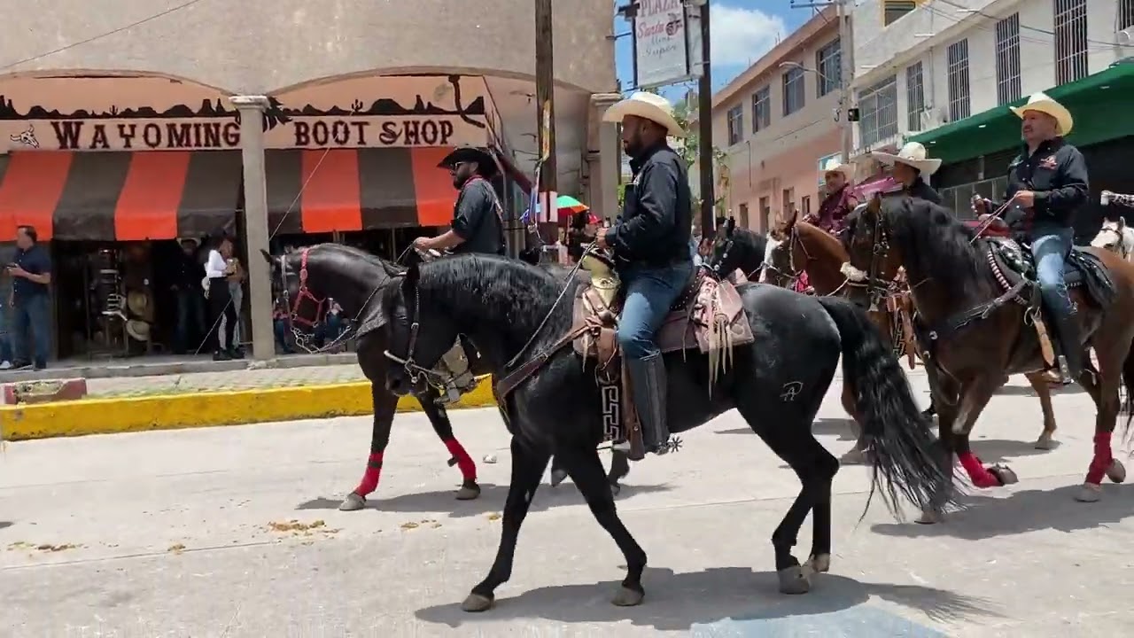 Desfile Ganaderos Feria Santiago 2024
