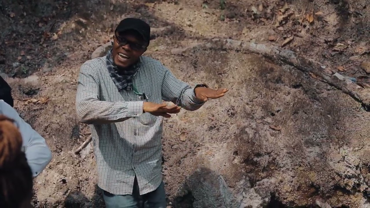 GEOMAGIC GEOLOGIC SURVEY AND MAPPING...🤩