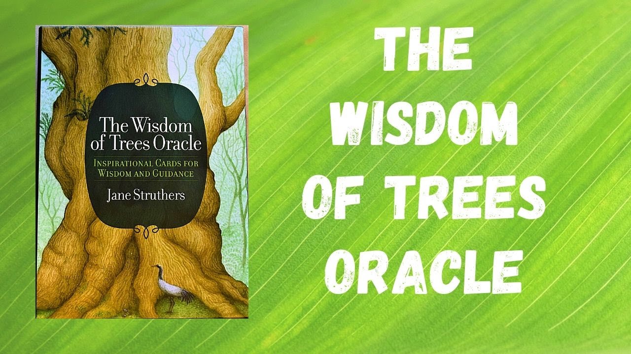 The Wisdom of Trees Oracle Walkthrough